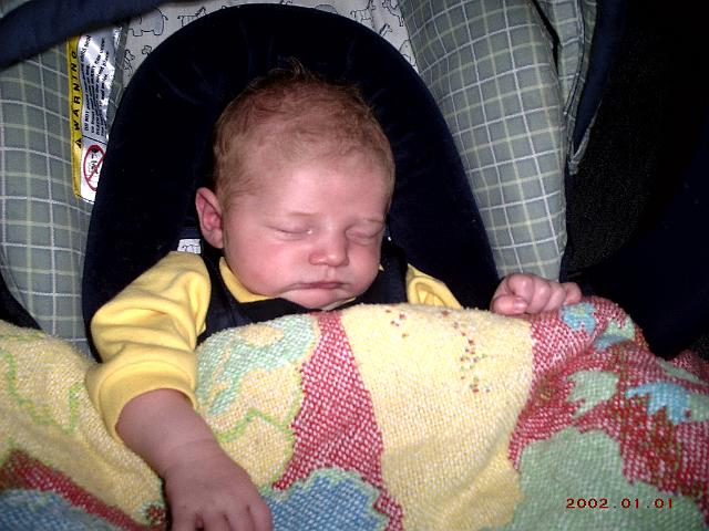 Picture 264.jpg